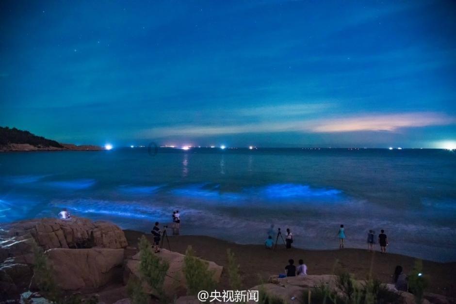 58岁张卫健彩排遇惊险意外,敬业精神令人敬佩